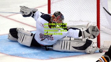 纳斯深情解读洛瑞温情时刻，多伦多球迷山呼海啸般的致敬，是职业体育最珍贵的馈赠