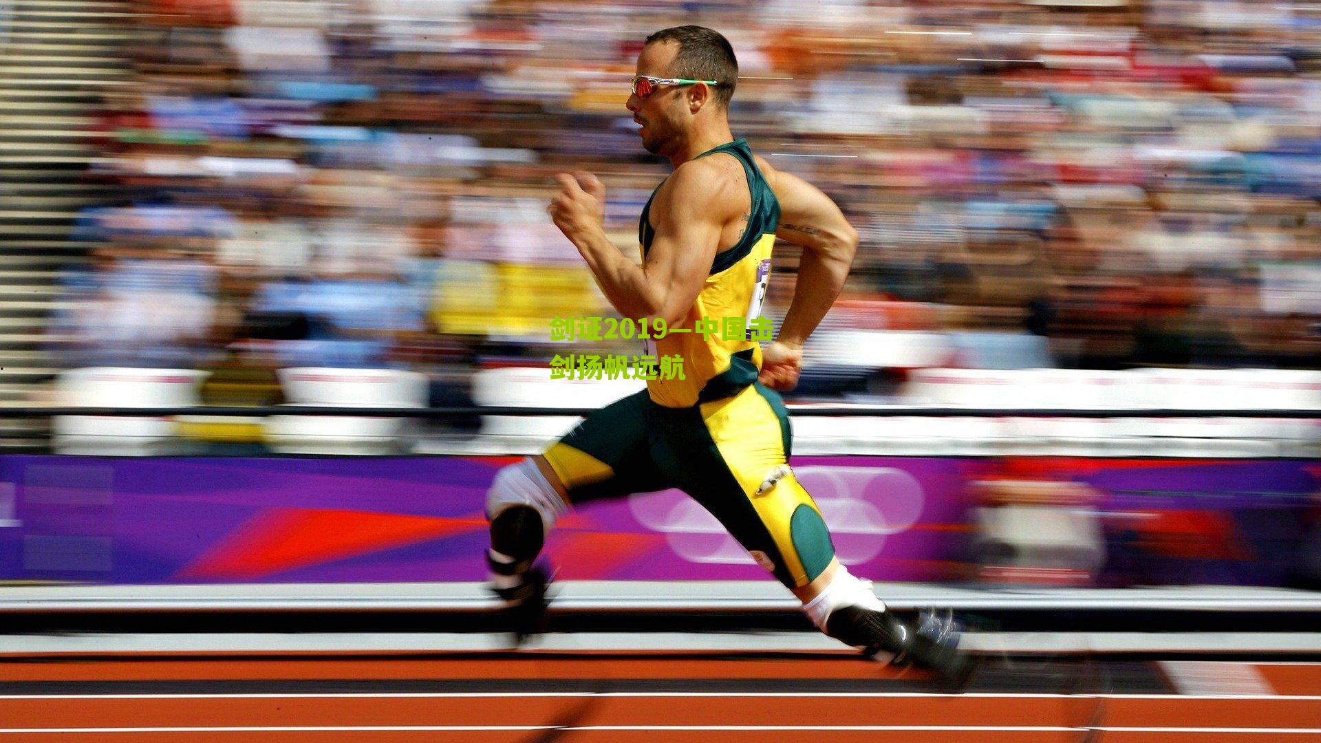 剑证2019—中国击剑扬帆远航