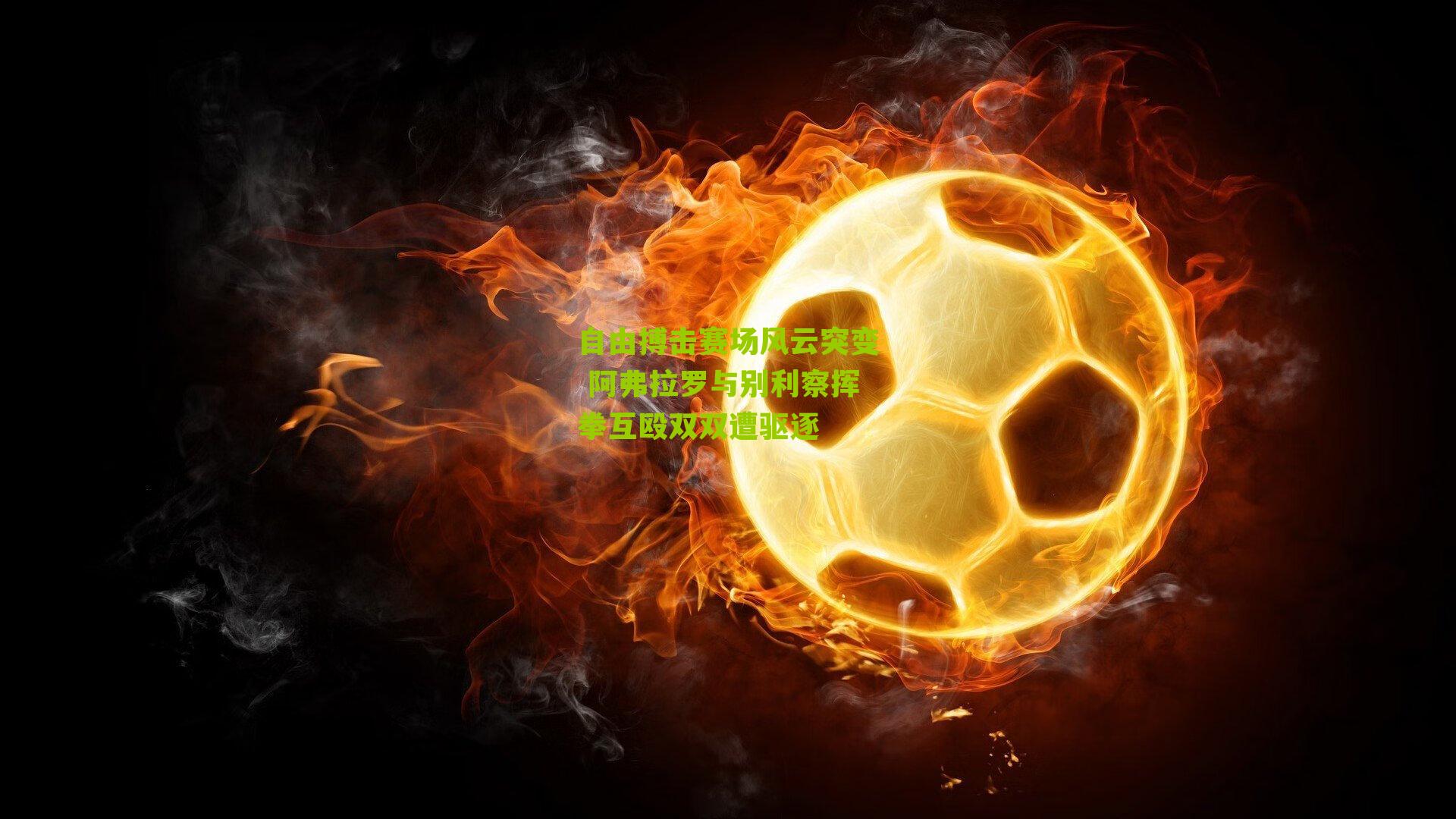 自由搏击赛场风云突变 阿弗拉罗与别利察挥拳互殴双双遭驱逐