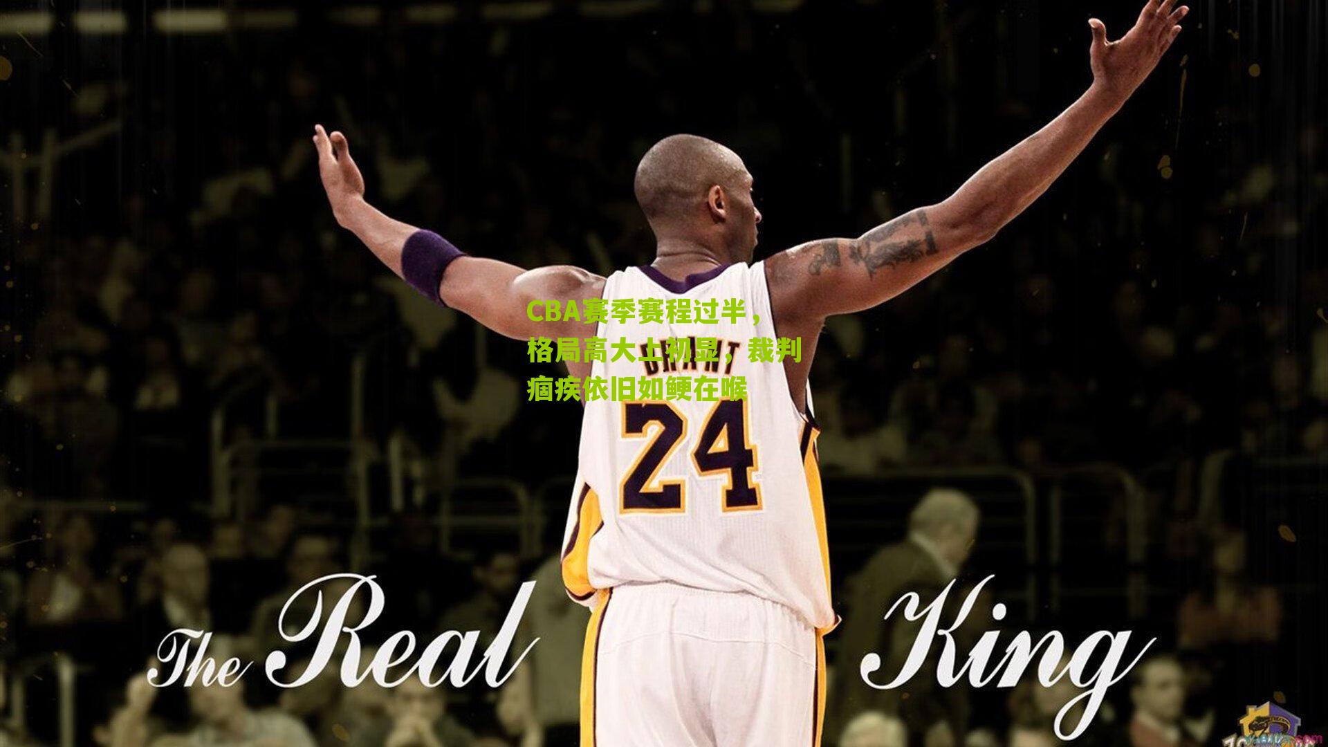 CBA赛季赛程过半,格局高大上初显,裁判痼疾依旧如鲠在喉
