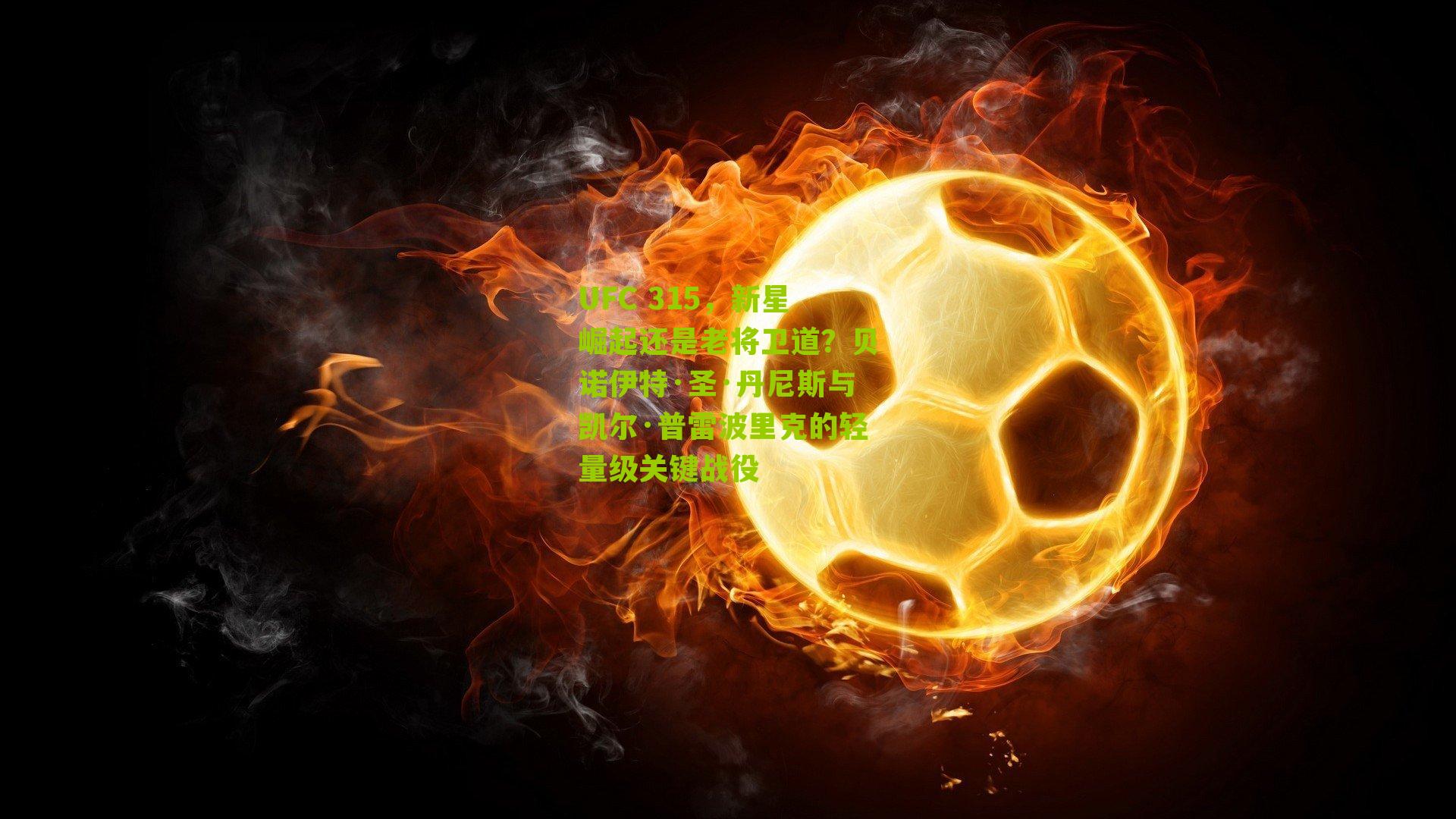 UFC 315，新星崛起还是老将卫道？贝诺伊特·圣·丹尼斯与凯尔·普雷波里克的轻量级关键战役